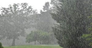 झारखंड में हो रही है तेज़ बारिश ,रांची में बने बाढ़ जैसे हालात