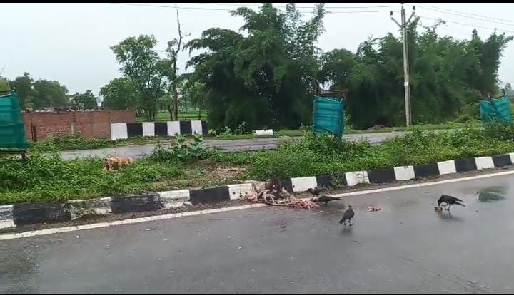 WhatsApp Image 2025-07-30 at 6.17.14 PM